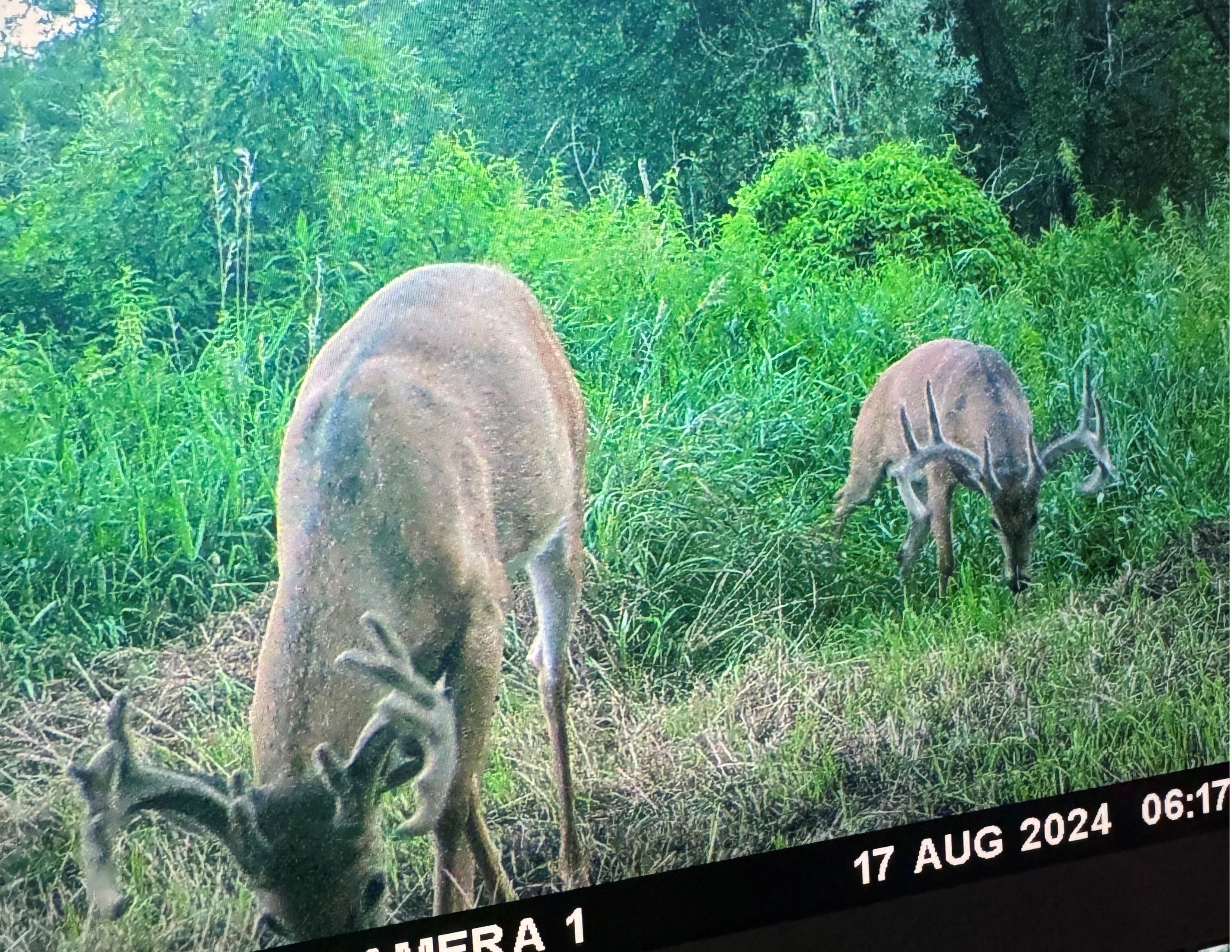 Listing Photo: 18159-2 Bucks